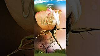 Download lagu Muhammad Nabina#mohammad #nabi #shortsvideo #viralshort #ytshorts #tiktok mp3 Download lagu Muhammad Nabina#mohammad #nabi #shortsvideo #viralshort #ytshorts #tiktok mp3