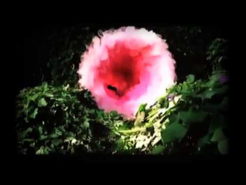 download lagu mp3 mp4 Belanova Canciones Para La Luna, download mp3 Belanova Canciones Para La Luna free download mp3, download mp3 Belanova Canciones Para La Luna