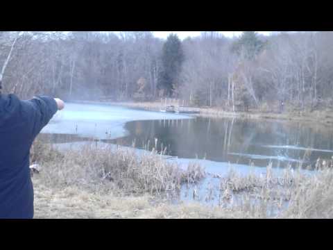 raven .25 acp pistol