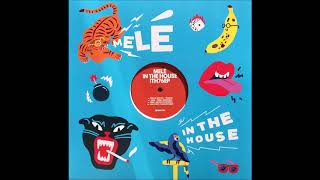 JOE CORTI - DANCING MIST