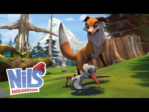 Der böse Fuchs - Nils Holgerson