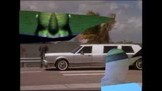 Torn Hawk- "This Is Crime & Lace"