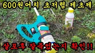 농기계 원액살포기로 600원어치 저렴하게 풀약을 넣고 쳤을때 풀이 잘죽는지 확인해 보았습니다 Herbicid…