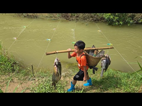 Fishing trap setting skills fish to harvest 20 kg of stream fish sale highland boy khai fishing ❤️❤️