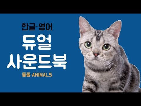 애플비 한글 영어 듀얼 사운드북 - 동물