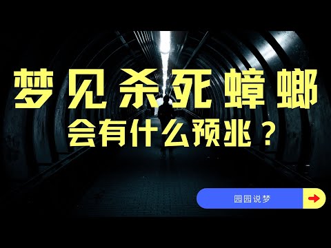 夢見殺死蟑螂