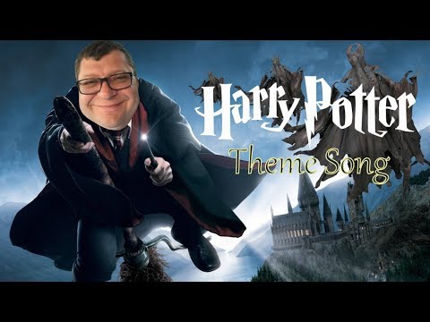 Zbigniew Stonoga ft. Harry Potter - Theme Song REMIX