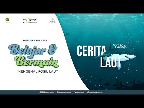 Keseruan Belajar dan Bermain Mengenal Fosil Laut