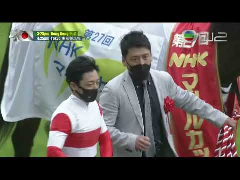 2022 NHK Mile Cup G1 - Danon Scorpion (野田赤蠍) - Y.Kawada