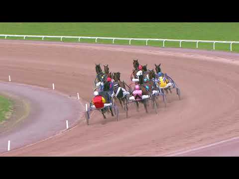 Avenches/29.10.2020/Prix de Laval - Hippodrome jumelé avec celui d'Avenches