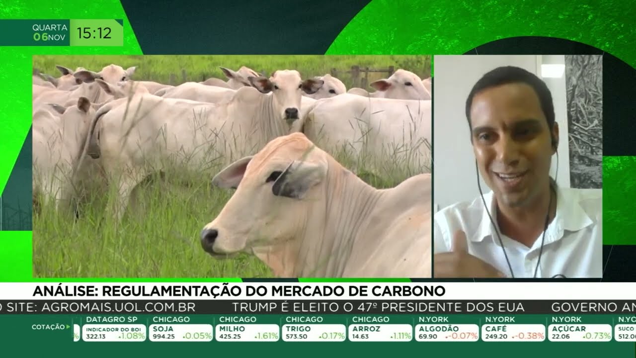 Análise: regulamentação do mercado de carbono