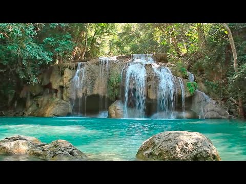 Calming Music: Nature Sounds, Zen Music Video