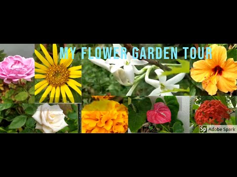 My Beautiful Flower Garden Tour