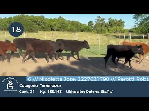 Lote M y H -Dolores - Bs As