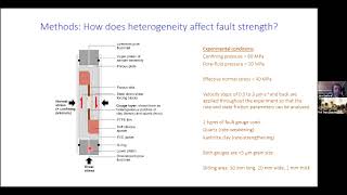 Bedford - Fault strength evolution during the seismic cycle: Insights from the laboratory