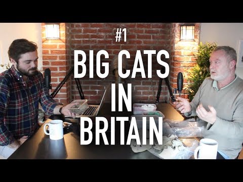 GRIZZLY PODCAST #1 - Big Cats in Britain w/ Jonathan McGowan