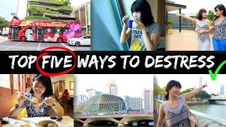 Sights & Sounds: Flying Fox Helihike, Fox Glacier