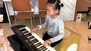 Video thumbnail for Casio CTK 245 by Music support shop