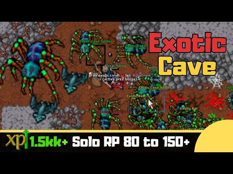 RP 80 to 150+ Exotic Cave [Tibia Solo Paladin]