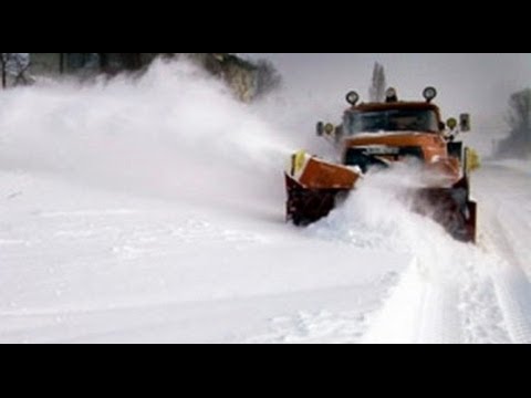 Unguru' Bulan - Cod Rosu de Rovinieta (S16E11)