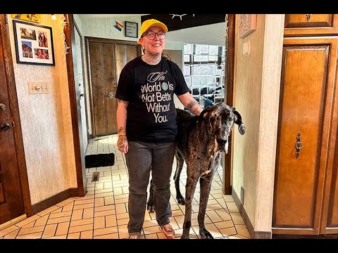 Meet Reginald, the world’s tallest dog who lives in Idaho Falls