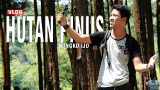 preview picture of video 'Wisata Hutan Pinus Nongko Ijo Kare'