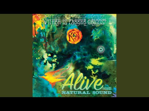 Gimme Back My Morphine