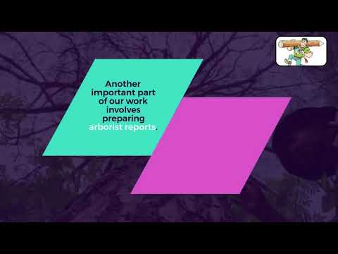 Professional Arborist Gisborne – Expert Tree Services by Mr Lumberjack