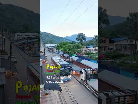 Tráfico por Pajarito Boyacá (Octubre 29/2026) (5:34 a.m.)