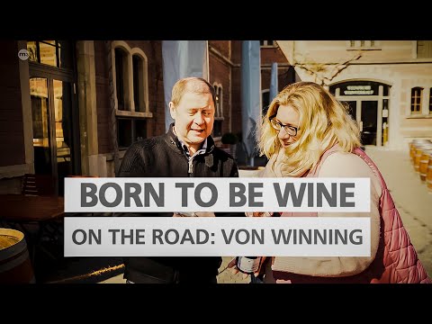 BORN TO BE WINE on the road – Zu Besuch auf Weingut von Winning