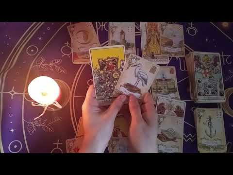 ♉️BIK♉️ OD 20.02. - 20. 03. 2026.🍀🍀🍀🥰🥰🥰❤️❤️❤️❤️☀️☀️☀️🌟🌟🌟