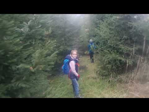 Auf dem Weg zur Harzer Wanderprinzessin -  HWN92, HWN98, HWN218