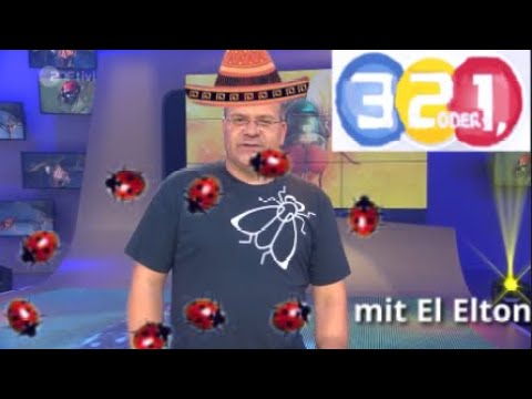 EL ELTON und die lästigen KÄFER | 1, 2 oder 3 YTK
