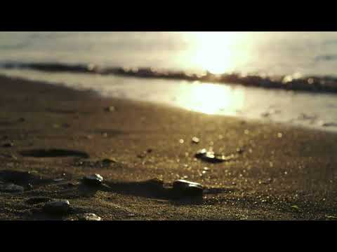 Sound for sleep 10 hours of relaxing waves on the beach