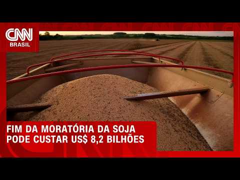 Fim da Moratória da Soja pode custar US$ 8,2 bilhões ao Brasil até 2032, estima WWF | CNN AGRO NEWS