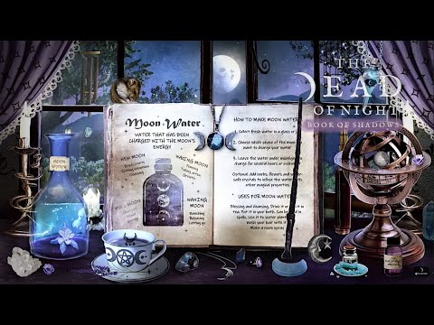 Moon Magic Ambience 🧹🌙🌚🌕✨ | An Evening of Lunar Spells & Rituals | The Dead of Night Book of Shadows