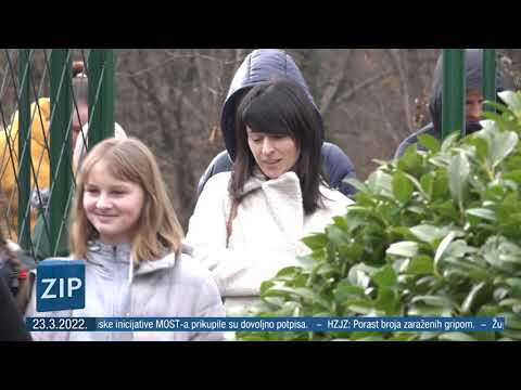 ZIP 23.3.2022. - Z1 televizija