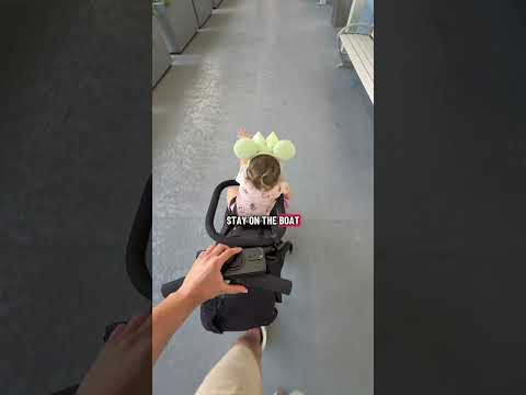 Thumbnail for THEY WERE SHOCKED!!! 😱🫢 #dad #vlog #vlogging #viral #fyp #trending #shorts #reels #disney #cruise