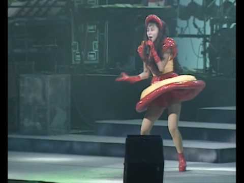 Tenchi Muyo concert 94 - Chisa Yokoyama