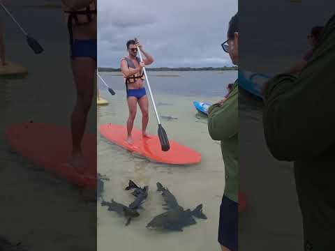 Estância, Sergipe  Lagoa dos Tambaquis 🌴🌊☀️ Um paraíso escondido no Nordeste 😍