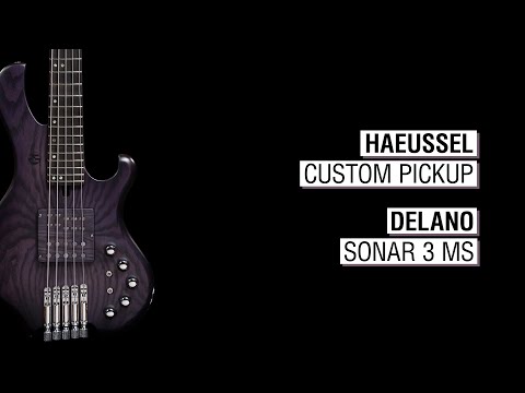 Haeussel Custom Pickup + Delano Sonar 3 MS - Frog 5a Headless 34"
