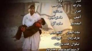 malala yosaf zai dream