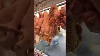 Download lagu Offal is a favorite food in Italy mp3