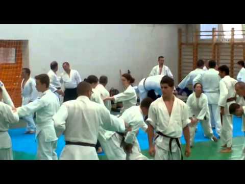 Aikido Summer Camp - 2014 Summer, Pécs #4