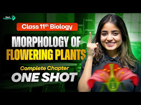 Morphology of Flowering Plants Class 11 One Shot | 11th Biology Chapter-5 Revision | CBSE 2025-26