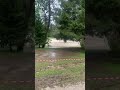 Gezin uit Emmen ziet Sloveense camping onder water lopen #shorts | RTV Drenthe