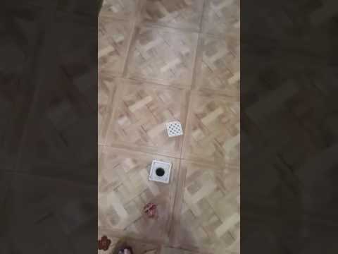 Funny cat fights meat!