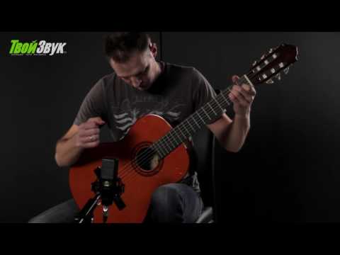 Jay Turser JTC-40