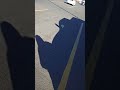 Seagull In Parking Lot