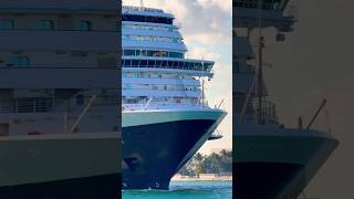MS Koningsdam 🛳️ #holland #travel #shorts #cruiseship #cruise #vacation #cruiselife #ocean #yt #fun